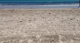 obrázek - Amphitheater @ Magic Life Penelope Beach