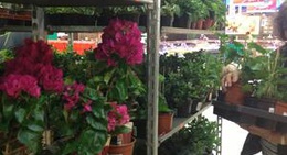 obrázek - Marktkauf