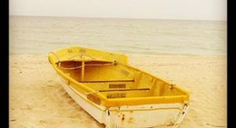 obrázek - parque de sisal