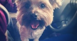 obrázek - City of Langford