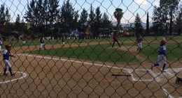 obrázek - Parque De Beisbol Vinicio Castilla