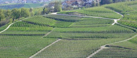 obrázek - Campodenno