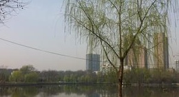 obrázek - 紫阳公园