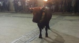 obrázek - Plaza Carlos Fabra