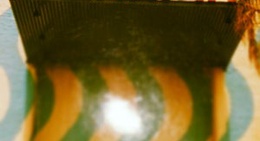 obrázek - Terapia Disco