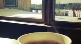 obrázek - Moosely Bagels