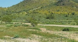 obrázek - Silly Mountain