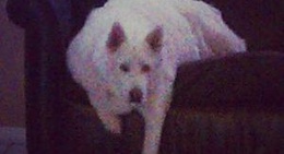 obrázek - Highland Lakes