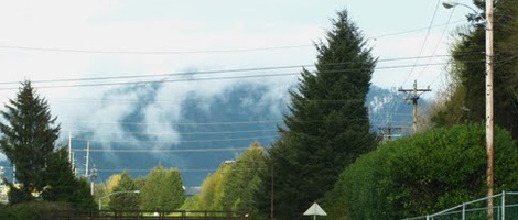 obrázek - Tillamook