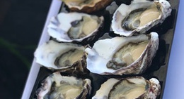 obrázek - Melshell Oysters
