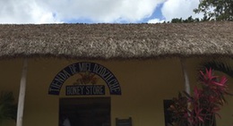 obrázek - Honey Store Dzidzilche