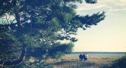 obrázek - Loksa rand