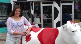 obrázek - Big Moo Ice Cream Parlor