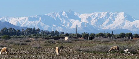 obrázek - El Aggada