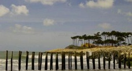 obrázek - Palmyre Combos