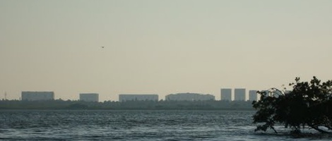 obrázek - Gallinero