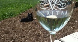 obrázek - Veritas Vineyard and Winery