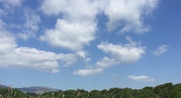 obrázek - Ynys Hir RSPB Reserve