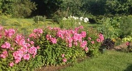 obrázek - Mustvee Segasummasuvila