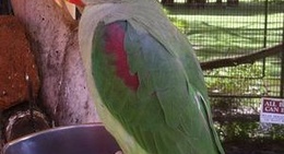 obrázek - Dinosaur World