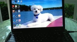 obrázek - The Lake Porch