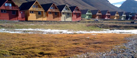 obrázek - Longyearbyen