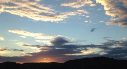 obrázek - Lion's Park