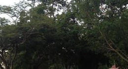 obrázek - Lissner Park