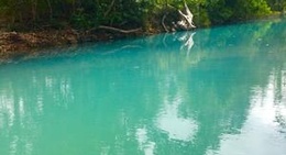 obrázek - Cardwell Blue Creek