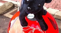 obrázek - Flavours Cafe