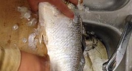 obrázek - Bob Nielson Park