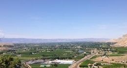 obrázek - Clark Family Orchards