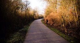 obrázek - Schack Promenade