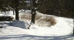 obrázek - Mansonville