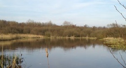 obrázek - Broad Ees Dole Nature Reserve