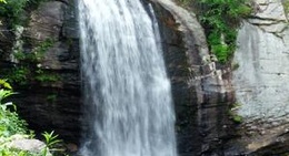obrázek - Pisgah National Forest