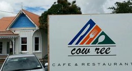 obrázek - Cow ree Cafe & Restaurant