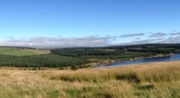 obrázek - Alwen Reservoir