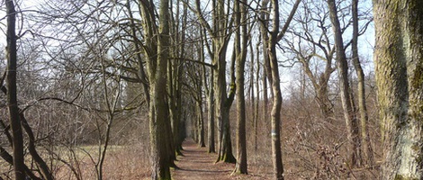 obrázek - Stockerau