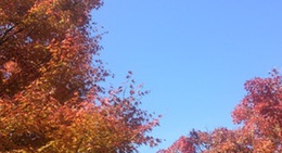 obrázek - 龍王の砦展望台