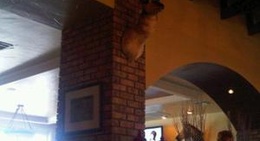 obrázek - North Rig Grill