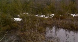 obrázek - Petrel Point Nature Reserve