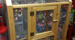 obrázek - Ben Franklin