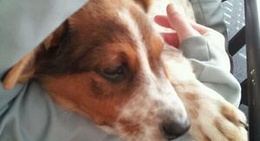 obrázek - HPU Wellness Center