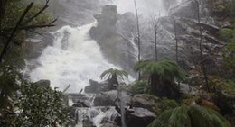 obrázek - St Columba Falls