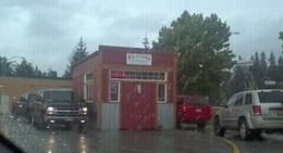 obrázek - Flying Squirrel