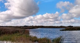 obrázek - Strumpshaw Fen RSPB Reserve