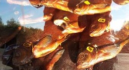 obrázek - Fish kiosk