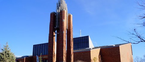 obrázek - Papillion