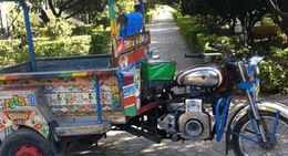 obrázek - Basant Bahar